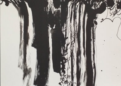 Cascada 2 litografías de 23 x 33cms. 2010