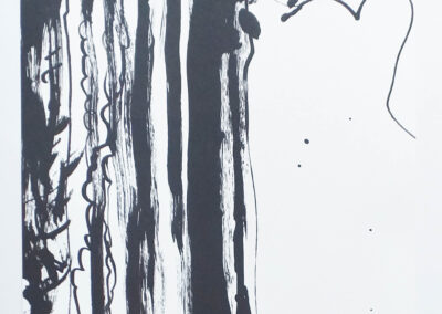 La cascada II. Litografía . 23 x 33cms. 2010