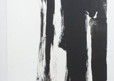 La cascada III. Litografía. 23 x 33 cms. 2010